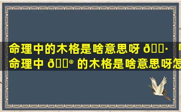 命理中的木格是啥意思呀 🌷 「命理中 💮 的木格是啥意思呀怎么解释」